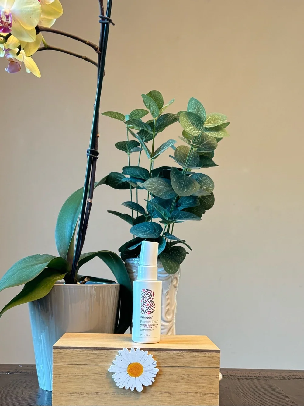 Briogeo White Leave-In Frizz Control Spray